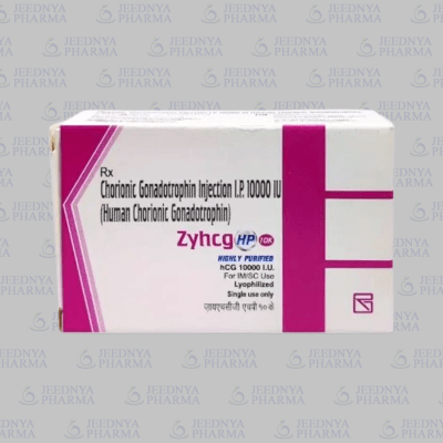 ZYHCG 10K